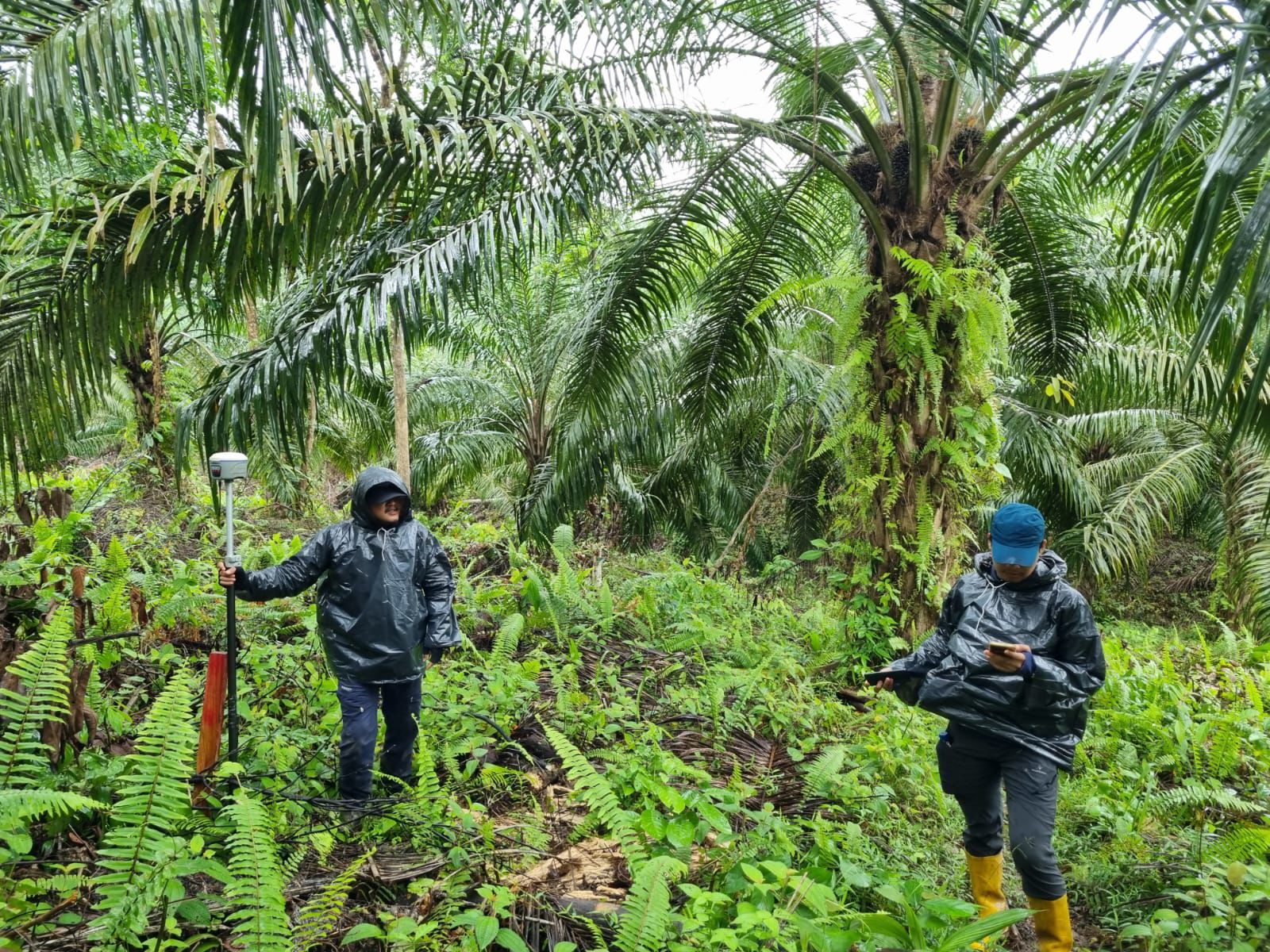 Guyuran hujan deras tak menyurutkan komitmen tim gabungan dalam menuntaskan pemetaan batas tanah aset negara.